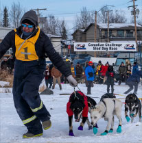 The Canadian Challenge Dog Sled Race